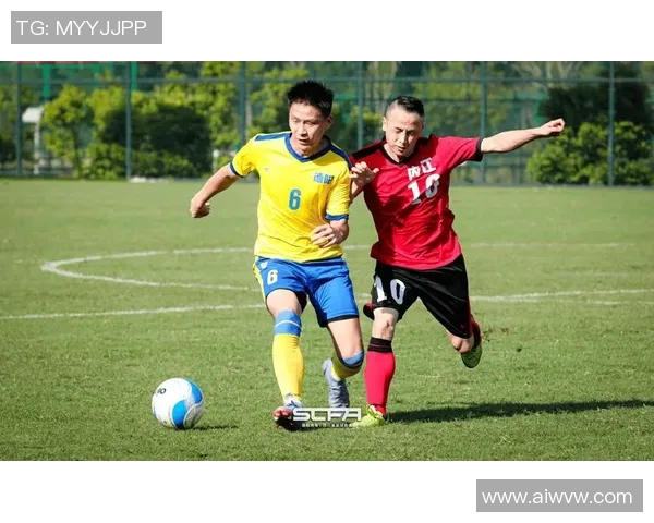 上海篮球队在城市联赛中的比赛经验与表现深度分析 上海篮球队在城市联赛中的比赛经验与表现深度分析