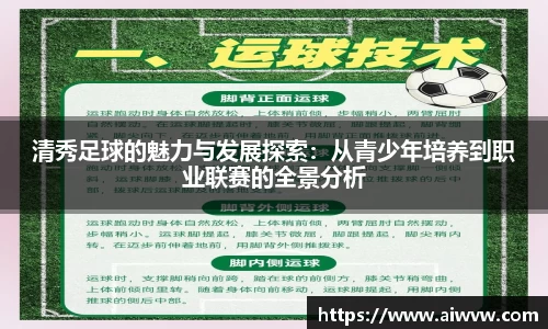 清秀足球的魅力与发展探索：从青少年培养到职业联赛的全景分析